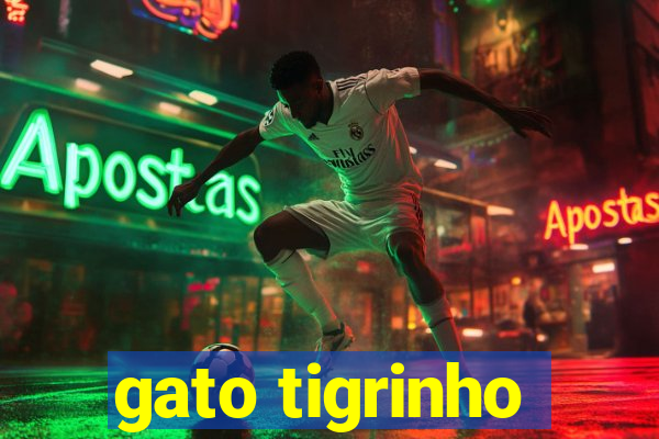 gato tigrinho