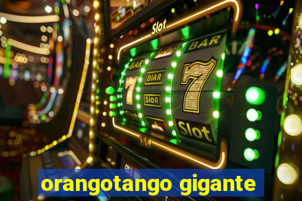 orangotango gigante