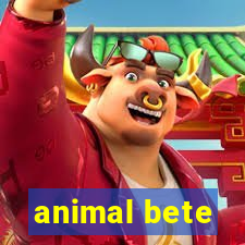 animal bete