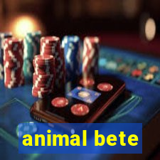 animal bete