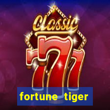 fortune tiger cassino pix