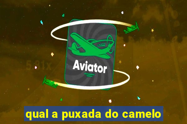 qual a puxada do camelo