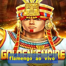 flamengo ao vivo multi canais