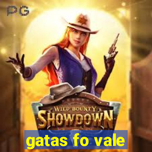 gatas fo vale