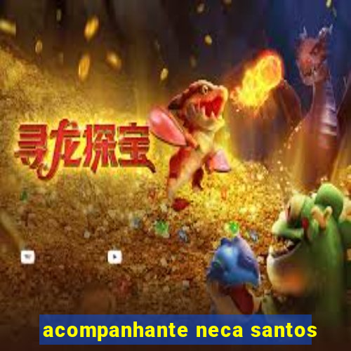 acompanhante neca santos