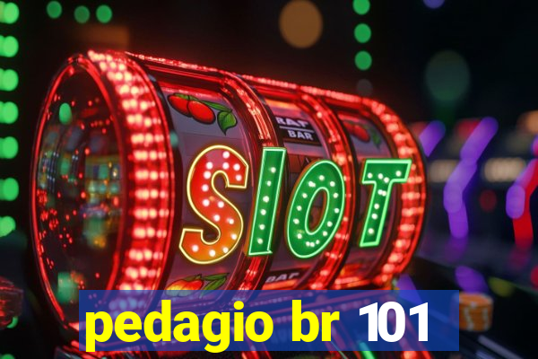 pedagio br 101