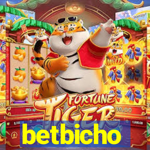 betbicho