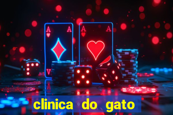 clinica do gato porto alegre