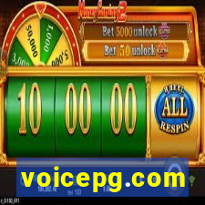 voicepg.com