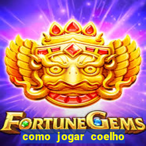 como jogar coelho da fortuna