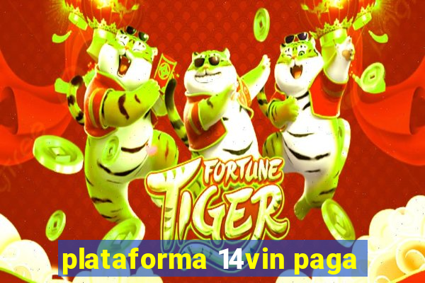 plataforma 14vin paga