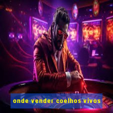 onde vender coelhos vivos