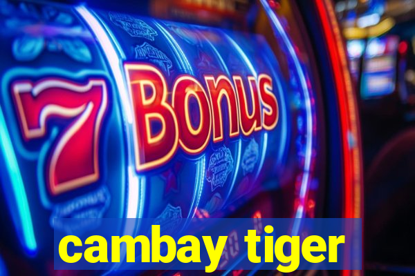 cambay tiger