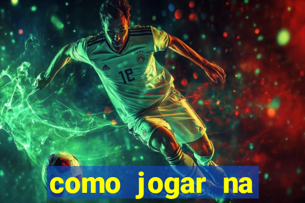 como jogar na lotinha do jogo do bicho
