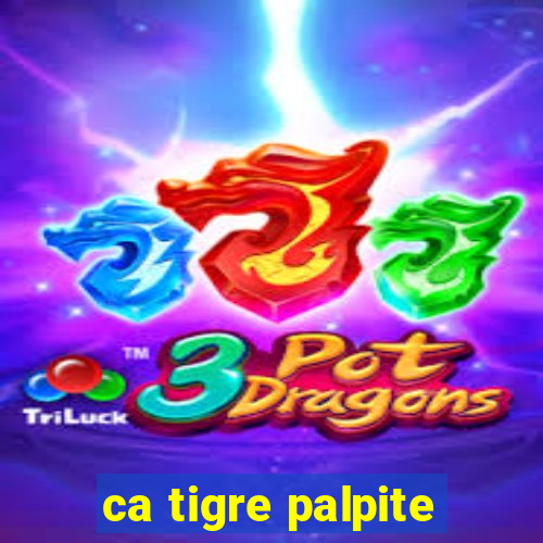 ca tigre palpite