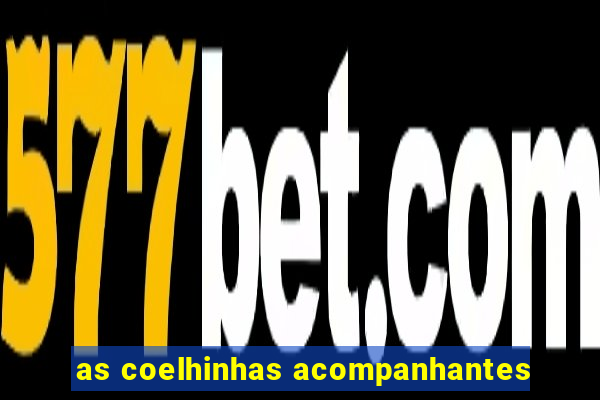 as coelhinhas acompanhantes