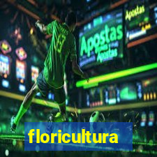 floricultura juazeiro bahia