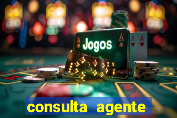 consulta agente autuador sp