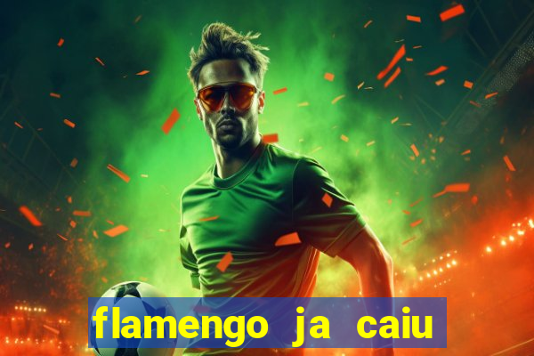 flamengo ja caiu para serie b