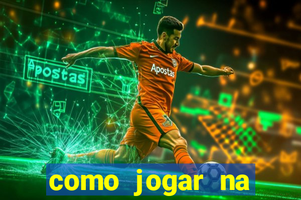 como jogar na seninha online
