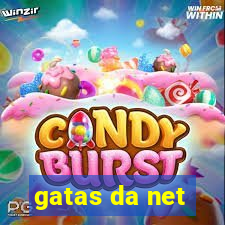 gatas da net