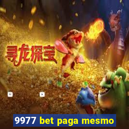 9977 bet paga mesmo