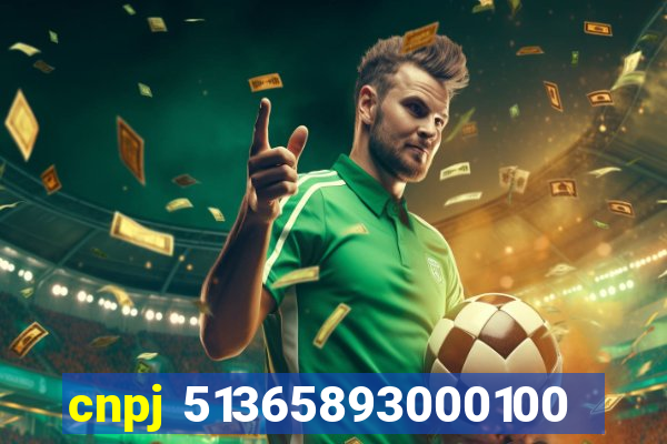 cnpj 51365893000100