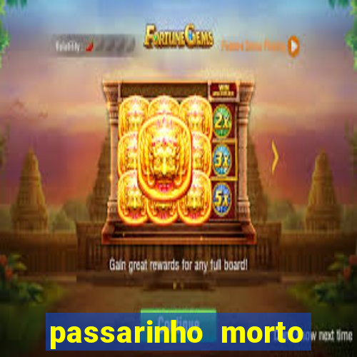 passarinho morto significado espiritual