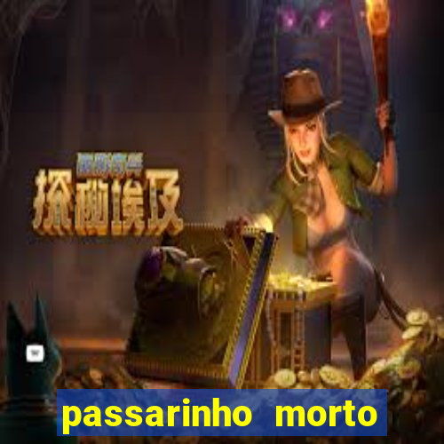 passarinho morto significado espiritual