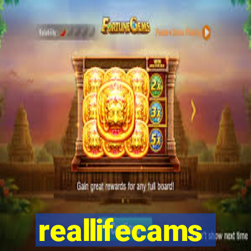 reallifecams