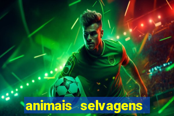 animais selvagens fotos e nomes