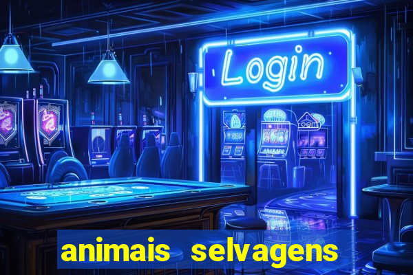 animais selvagens fotos e nomes