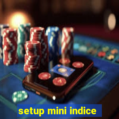 setup mini indice