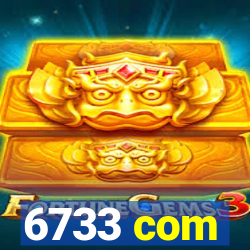 6733 com